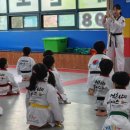 에이스태권도 이미지