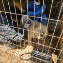 장미미장원 이미지