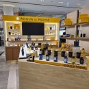 우아한돈돈 | 차량용 방향제 아쿠아 디 파르마 카 디퓨저 Acqua Di parma CAR DIFFUSER 테슬라모델Y