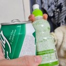 흥해청과