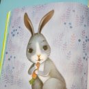 나도나도 이미지