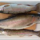 덕천어탕 이미지