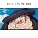 고양이호프 네이버블로그