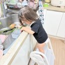 엄마미안 PC 키친 | 14개월 돌아기 헬로디노 러닝타워 키친헬퍼 내돈내산 후기 장단점