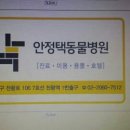 안정택동물병원 이미지