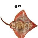 (이예숙)디카시 시조 이미지