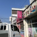 귀요미 애견샵 | [오로라애견미용샵] 김해 안동 곰돌이컷 대성공 귀여움 폭발 미용 후기