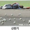 다이나믹 짐 이미지