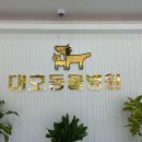 대호동물병원 | 포항시 남구 대호동물병원, 후기, 가는법, 가격