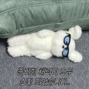 지에스25 마곡W타워점 | [마곡요가] 오뮤요가N필라테스에서 힐링요가 수업듣고 deep sleep한 후기