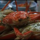 제일수산 Daum카페