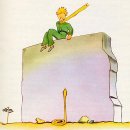 Re:The Little Prince 10-27 이미지