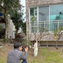 굿모닝 관광펜션 이미지