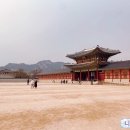 신하우스타공인중개사사무소 | &#34;니방내방&#34; 경복궁나들이/ 사무실 이전 및 오픈