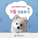장안동물병원 | 본동물의료센터 9월 진료후기, 장안구24시동물병원