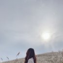 (주)엔젤렌터카 이미지