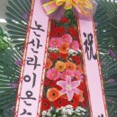 요셉이네할인매장 Daum카페