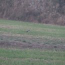 자연은 동물병원 이미지