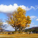 두물머리 관광안내소 이미지