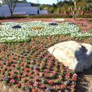 대공원대로, 대공원광장대로 이미지