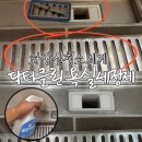 화장실청소세제 추천, 닥터클린 욕실세정제 욕실청소종결템
