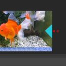 만물백화점 이미지