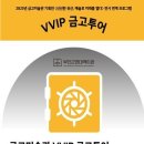 브이브이아이피투어