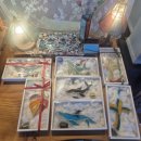 제주블랑 | 제주올패스아이랑 /글라글라스제주/하늘여행글라이더체험장/마노르블랑 이용후기