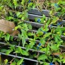 꿀맛 같은 낮잠 이미지