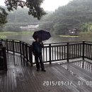 대신공원 숲길 이미지