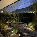 파파어부 이미지