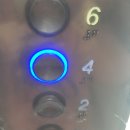 시흥 배곧 폴댄스. 폴바디핏에서 체험하고 온 후기