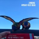 엠제이마케팅연구소