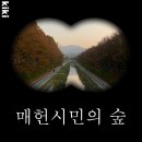 양재시민의숲 공원 테니스장 | [서울 단풍 명소]매헌시민의 숲(양재시민의 숲) 단풍놀이 데이트 후기
