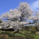 남원 대복사 (南原 大福寺) 이미지