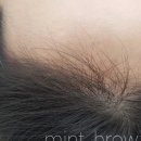 민트브로우