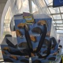 까까뭉치 | 구룡포호랑이바나나글라세 선물받은 후기