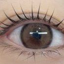 아트센터대로168번길 이미지