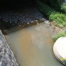 가나안농장 이미지