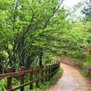 범바위 | 청산도 범바위 솔직 후기 :비오는 날이 미쳤네요^^