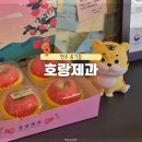 호랑제과 | 영주 풍기읍 선물추천 꿀사과빵 인삼파이가 맛있는 호랑제과