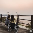 평인일주로 Daum카페