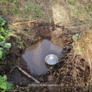 방동농장 이미지