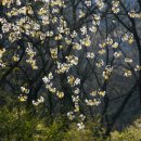 사월경로당 이미지