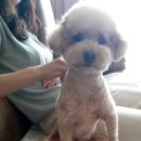 오늘도 즐겁개 이미지