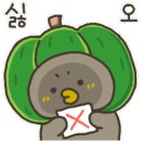 강릉초이 이미지