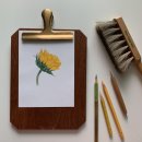 색연필 보태니컬 아트 이미지