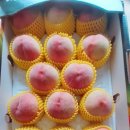 도향축산 네이버블로그
