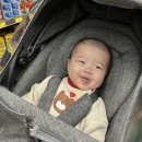 다온팜스 이미지