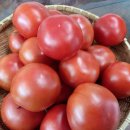 남해농장 이미지